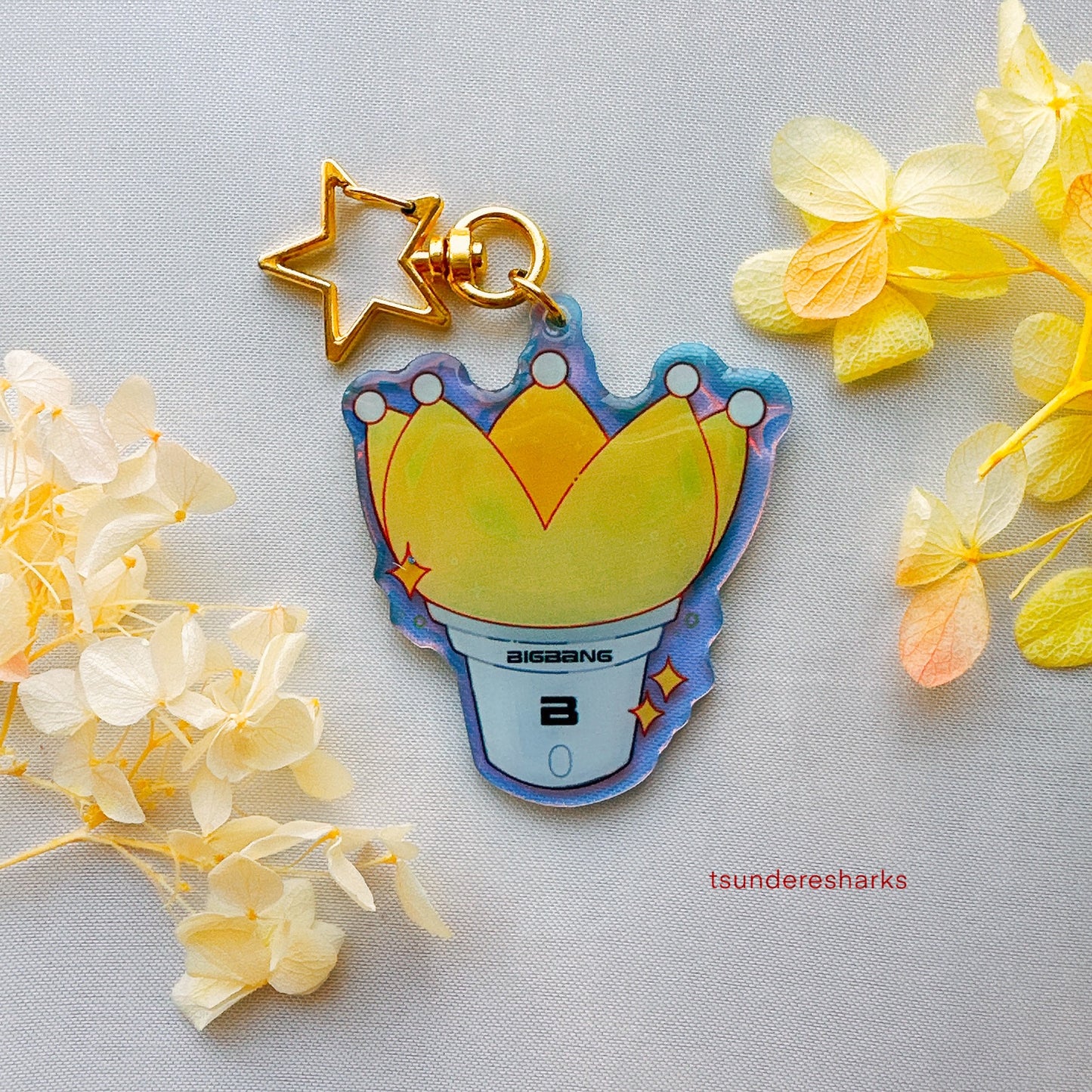 Bigbang Holographic Keychain